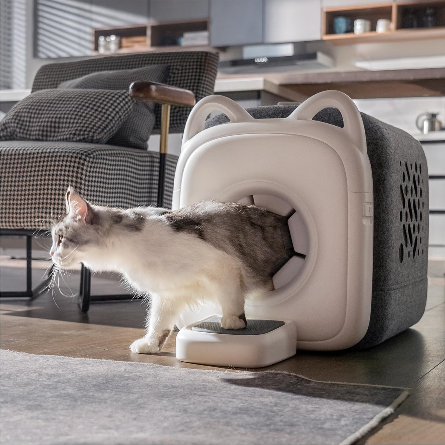 Amazon.co.jp: PawSwing AutoComb 自動猫セルフグルーマー 猫用360